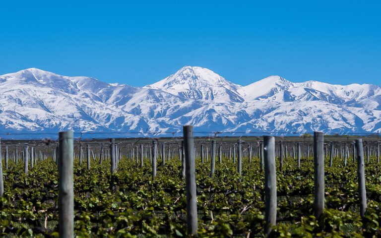 Private Wine Tours in Mendoza