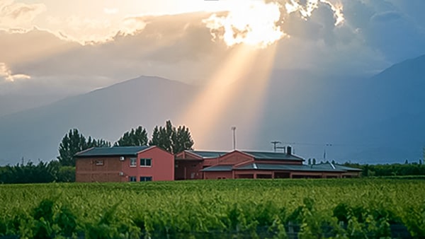 Finca Adelma