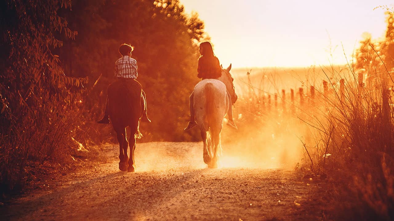 peterwinetours-horses-gallery-2