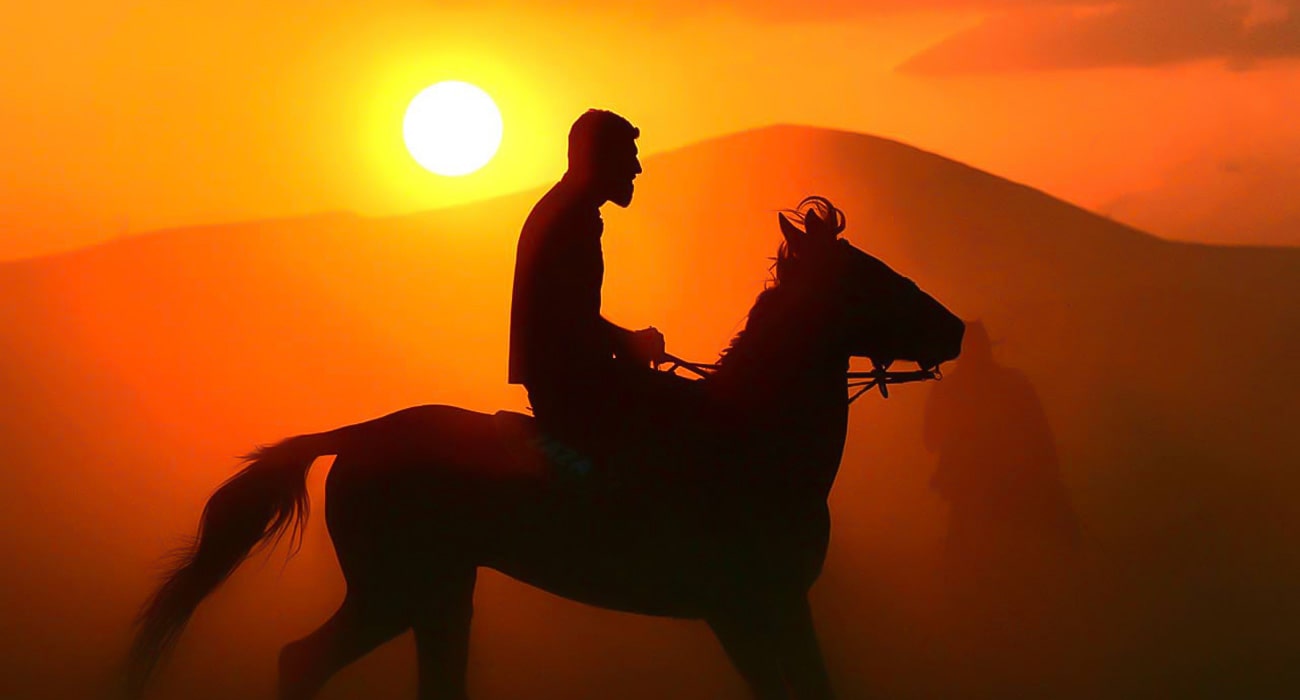 peterwinetours-horses-gallery-6