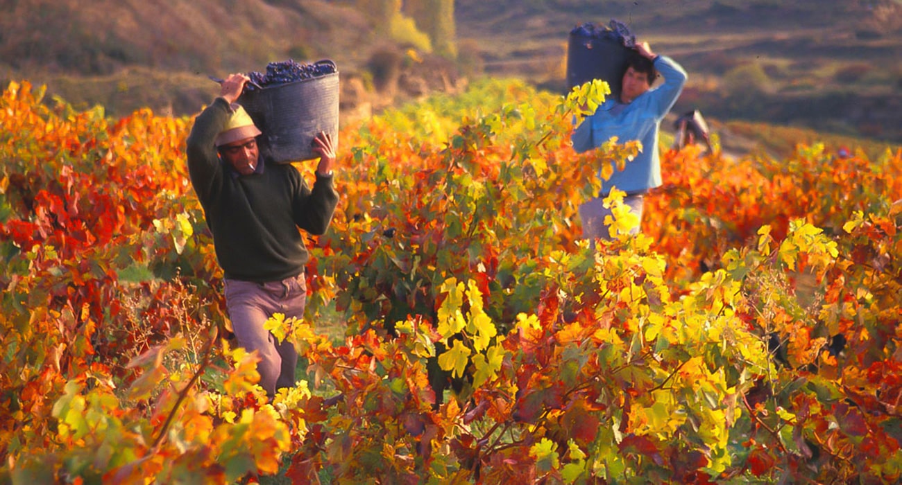 peterwinetours-lujan-gallery-4
