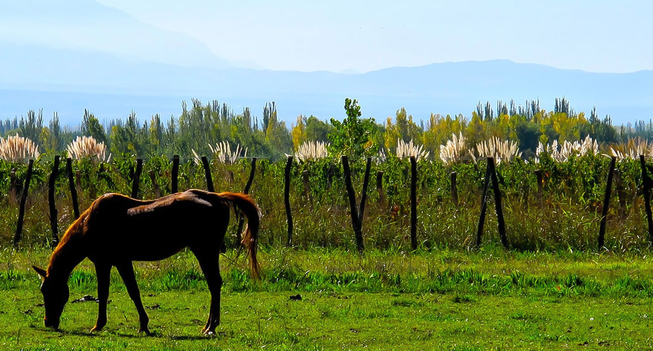peterwinetours-uco-gallery-2