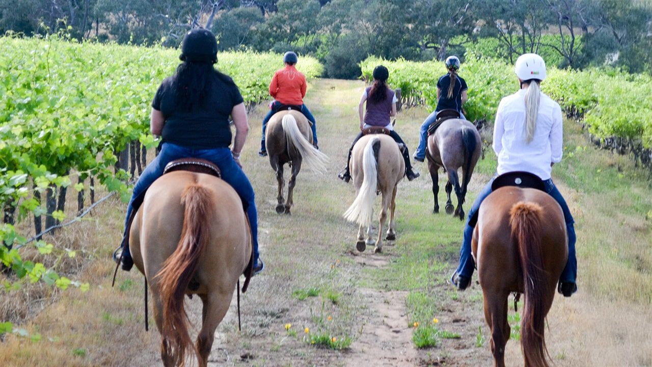 Corporate incentive trip to Mendoza wine country