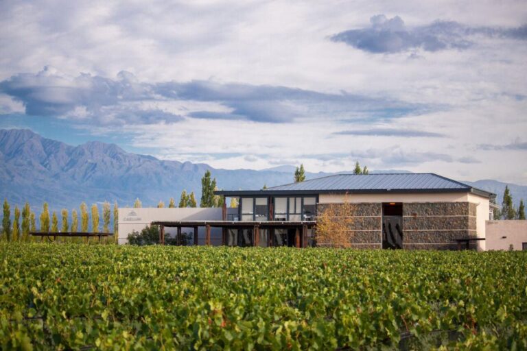 Caelum Winery, A true family winery in Mendoza