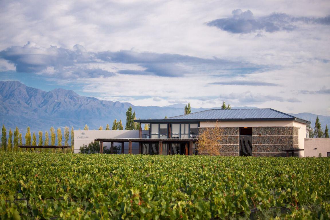 Caelum Winery, A true family winery in Mendoza