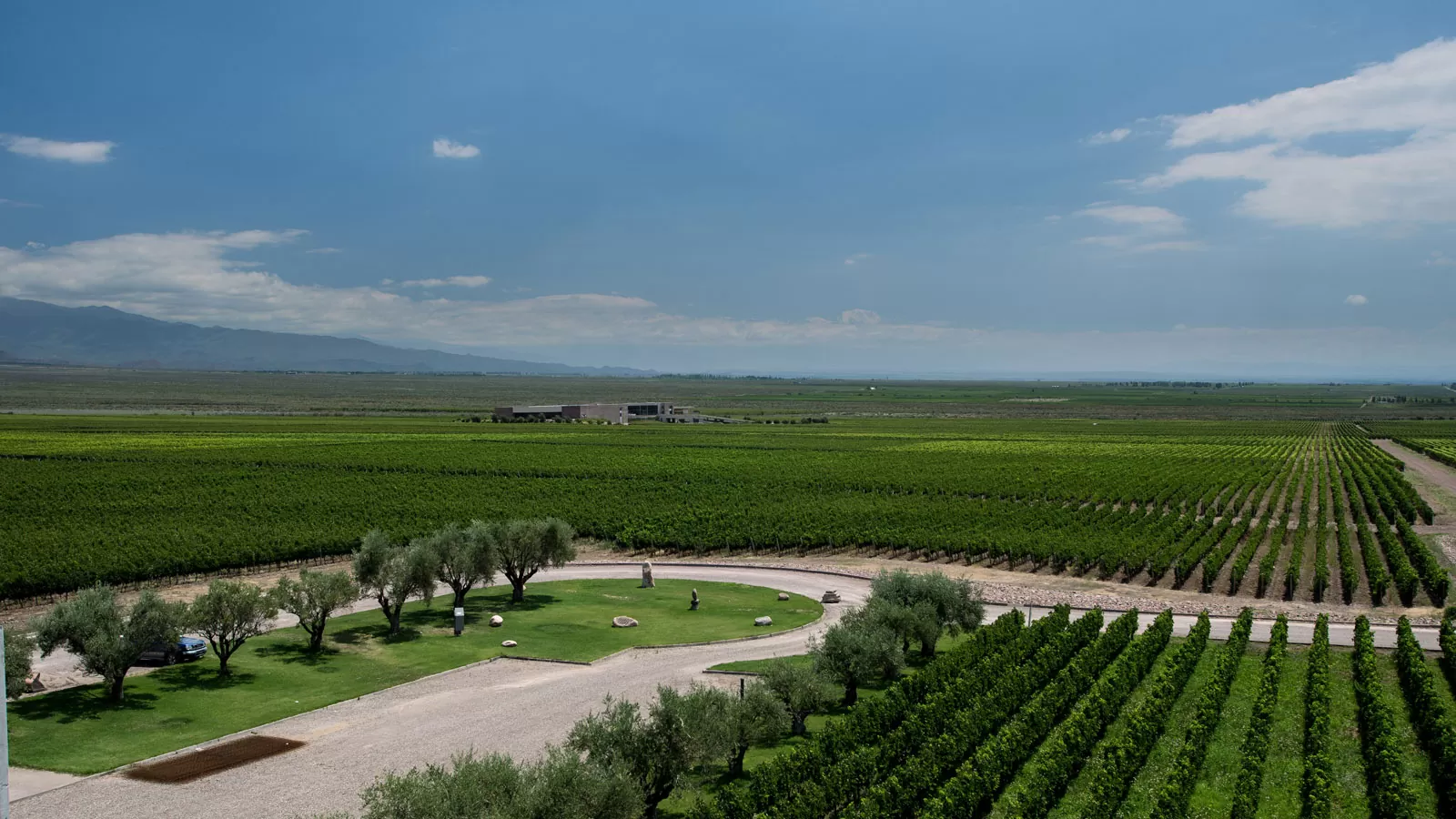 Wine tours in Mendoza
